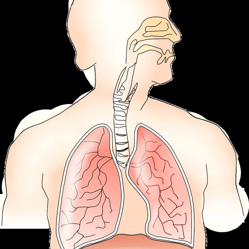 Afbeelding ademhalen